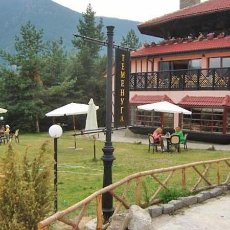 Hotel Temenuga بانيشيست المظهر الخارجي الصورة